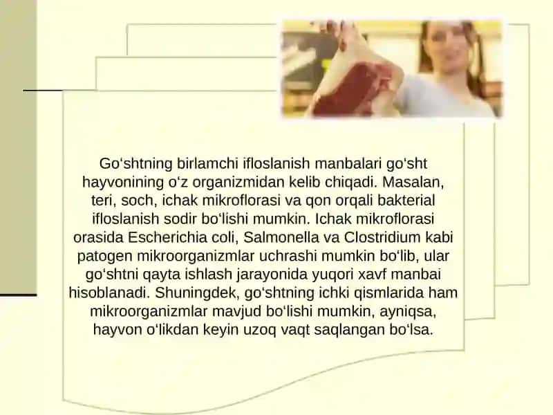 Go’sht hom ashyosida tarqalgan mikroorganizmlar morfologivasi va sestematikasi 4