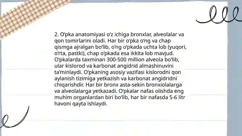 Fan Anatomiya - Til 4