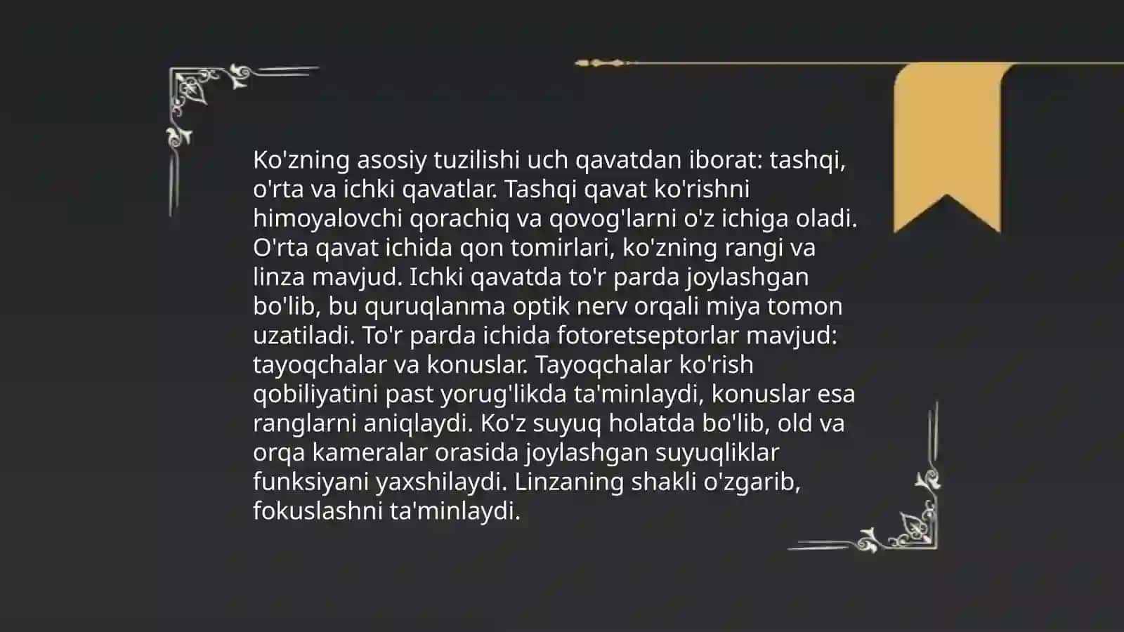 Ko'z anatomiyasi 4