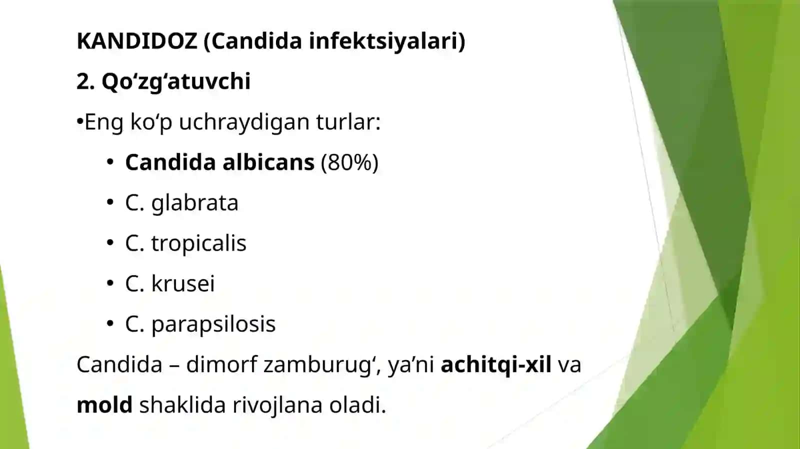 Zamburug'infeksiyalari(kandidoz,aspergilez) 4