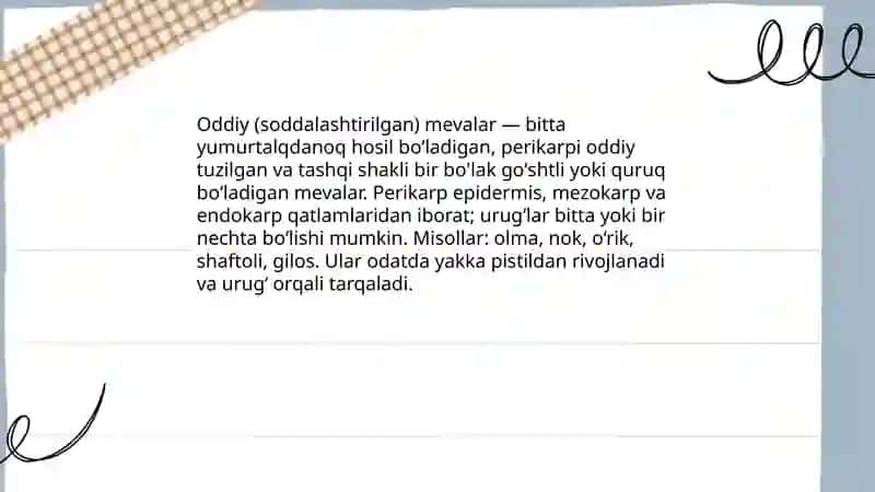 Meva xillari va urugʻ tuzilishi 4