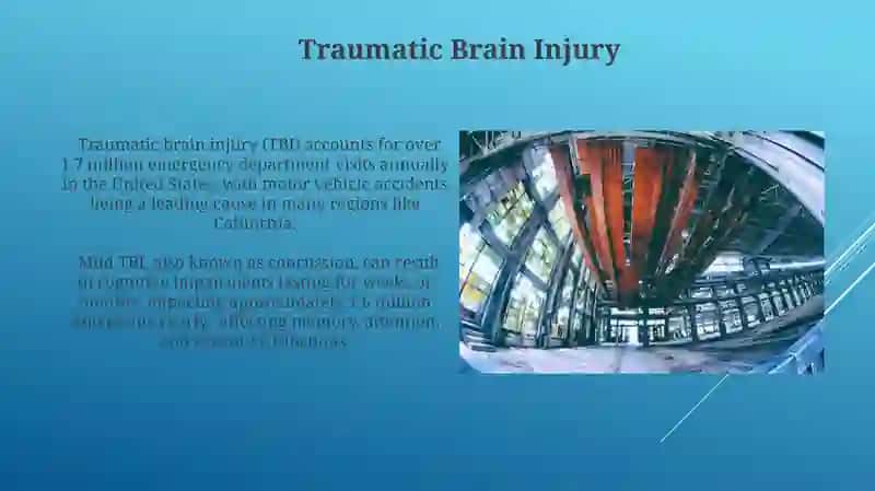 Brain structure and diseases 4