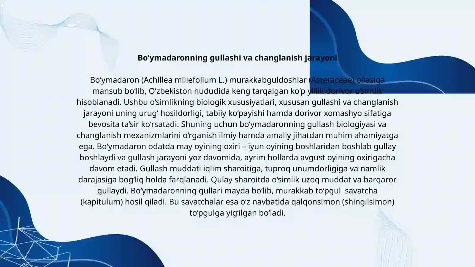 Oddiy bo‘ymadaron (mingbarg) (Achillea millefolium L.) o‘simligining urug‘chiligi 4