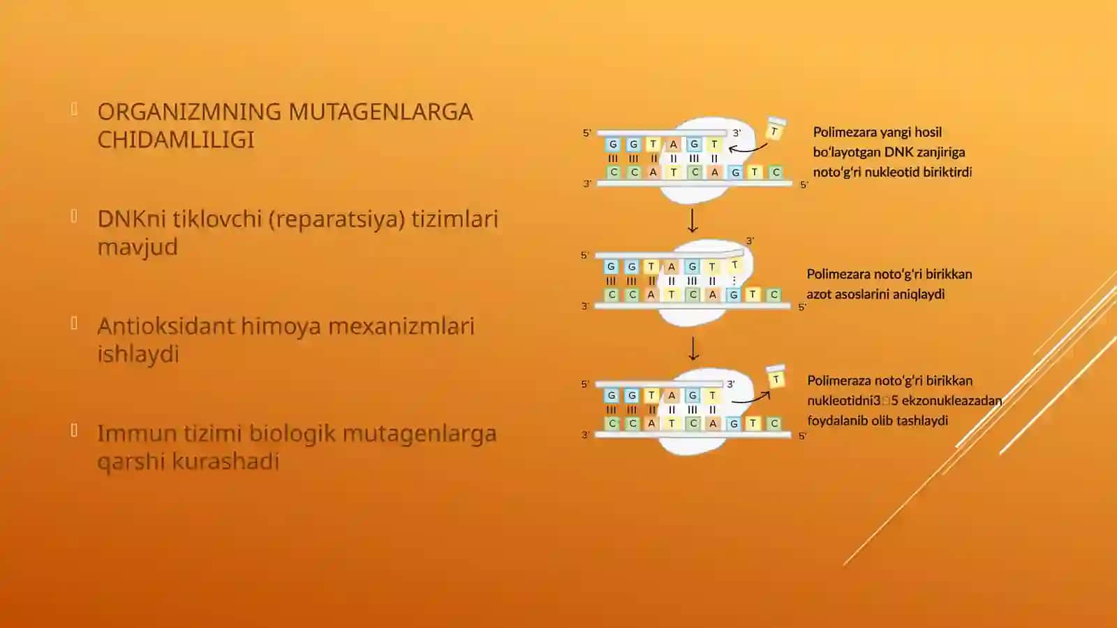 Organizmning mutagenta'sirgachidamliligi. Tomas Morganning xromosoman nazariyasi. Jins genetikasi 4