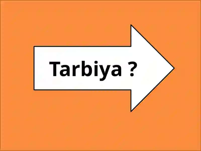 Tarbiya nazariyasi va usullari 4