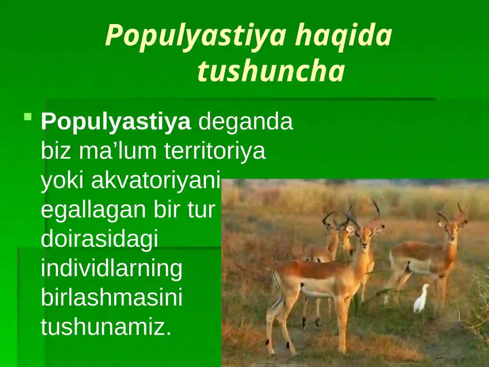 Populyatsiyasining umumiy tasnifi 4