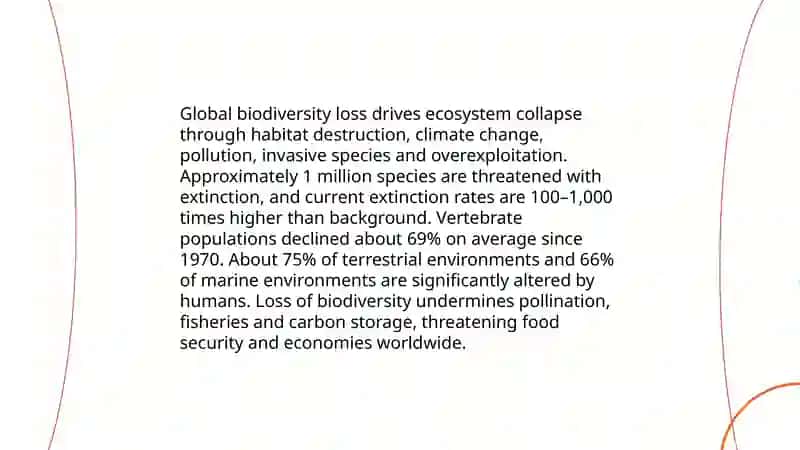 Global problems 4