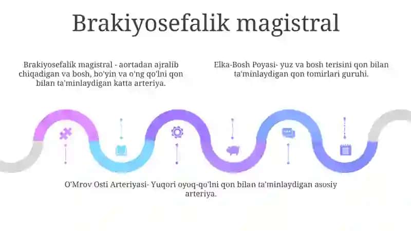Elka-Bosh Poyasi, O'Mrov Osti Arteriyasi, Qo'Lning Qon Tomirlari 4