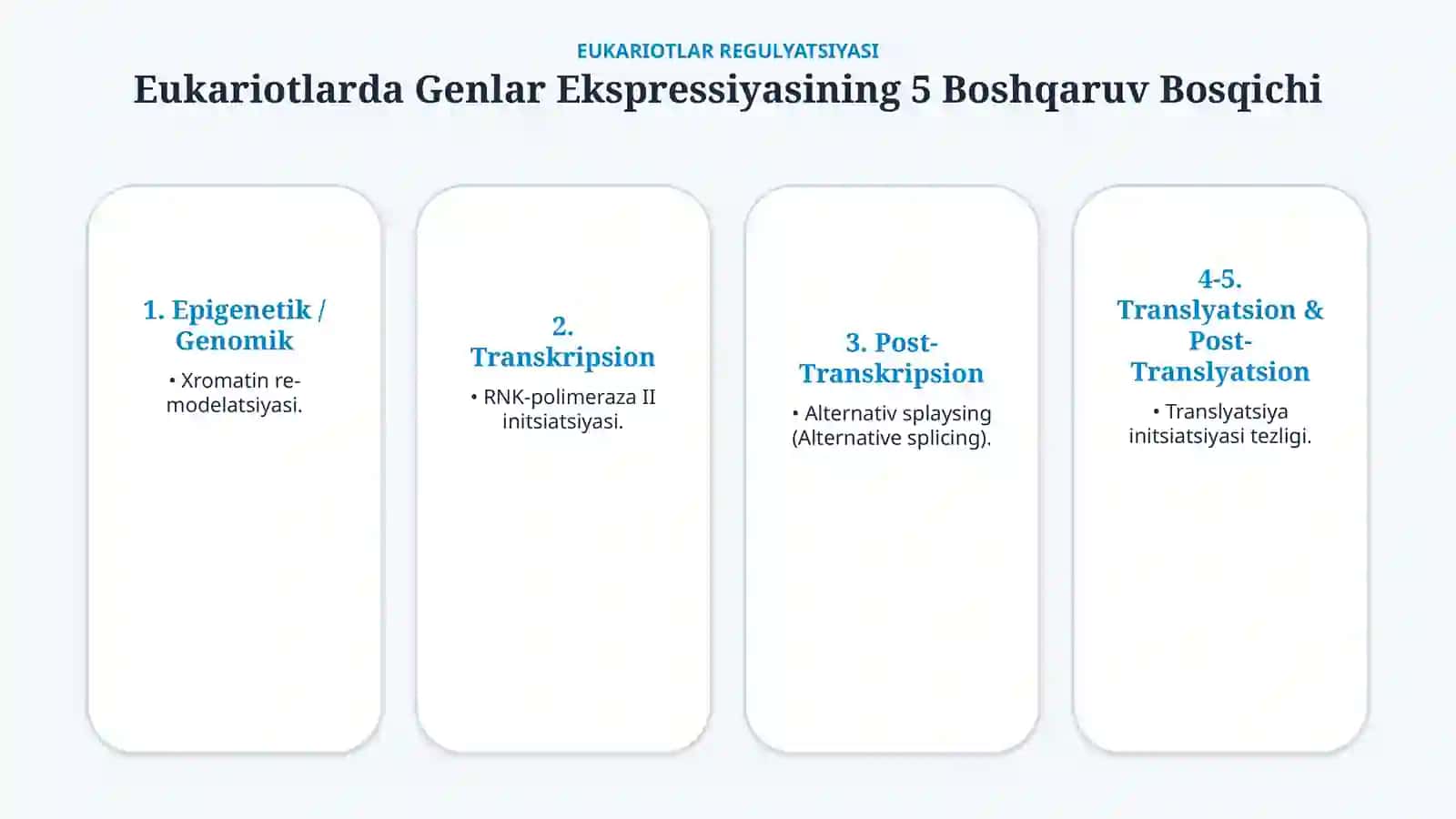Genlar ta’sirining boshqarilishi va hujayra differensirovkasi — 15 slayd 4