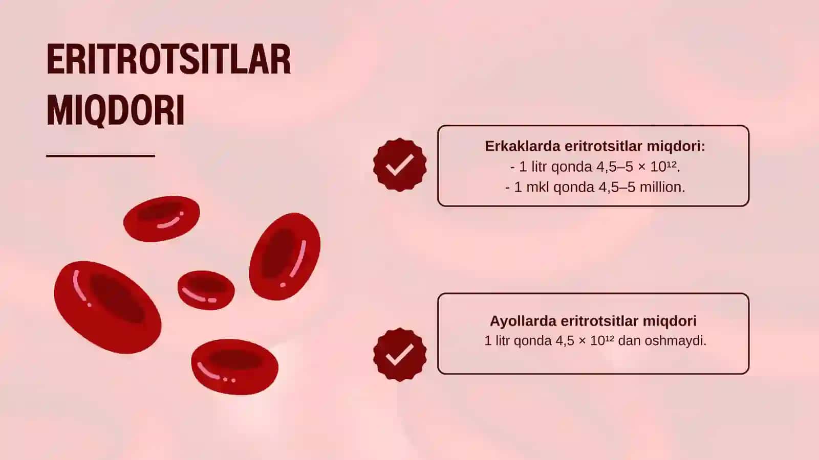 Prezentatsiya eritrotsitlar fiziologiyadanfiziologiya prezentatsiya 4