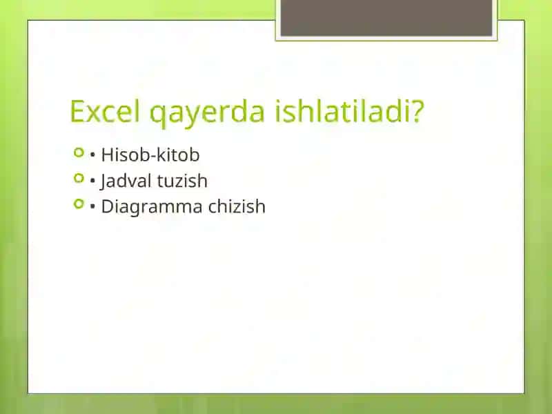 Microsoft Excel 4
