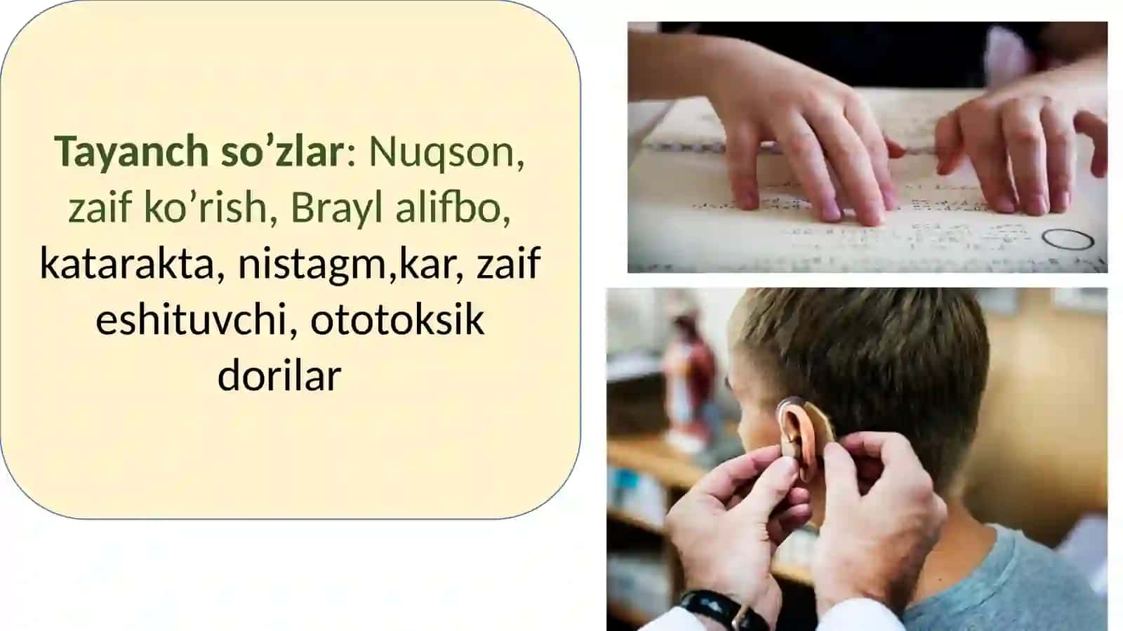 Sensorkamchiliklarga ega bo‘lgan bolalar uchun inklyuziv ta’lim strategiyalari va ularni amalga oshirish shart-sharoitlari 4