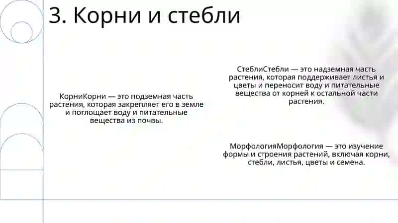 Морфология 4