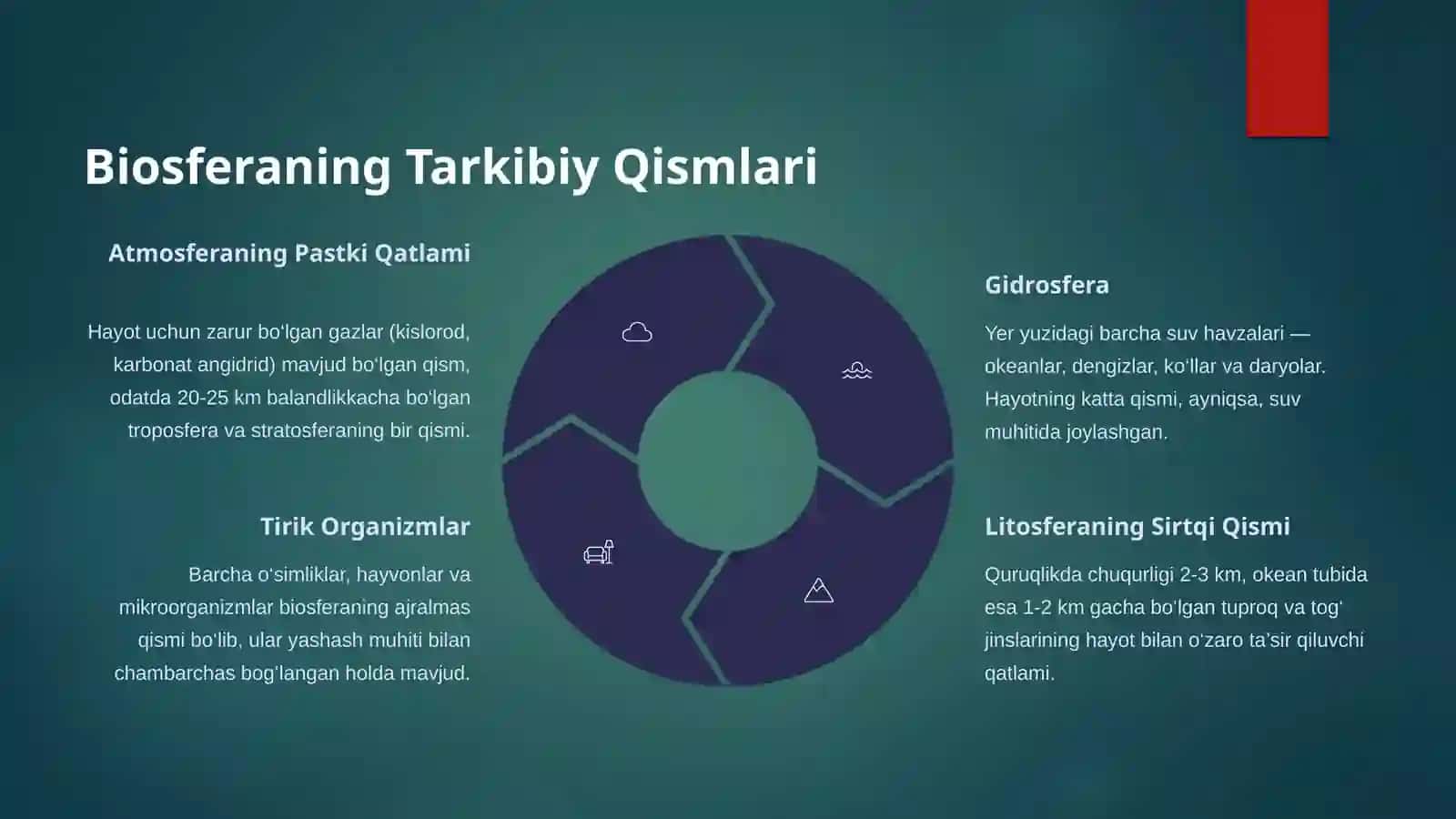 NURDINOV SAYODBEKNING EKOLOGIYA FANIDAN TAYYORLAGAN MUSTAQIL ISHI 4