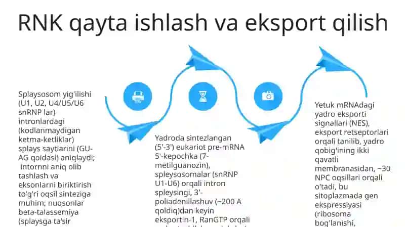 DNT replikatsiyasi va ta'miri 4
