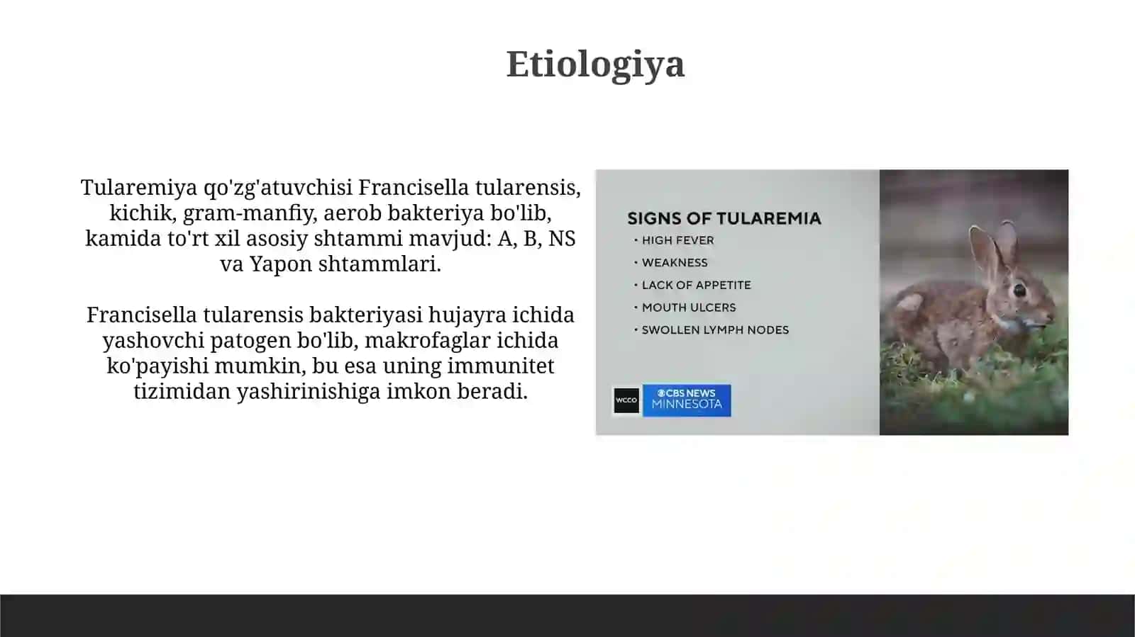 Oʻta xavfliinfeksiyalartulyaremiya 4