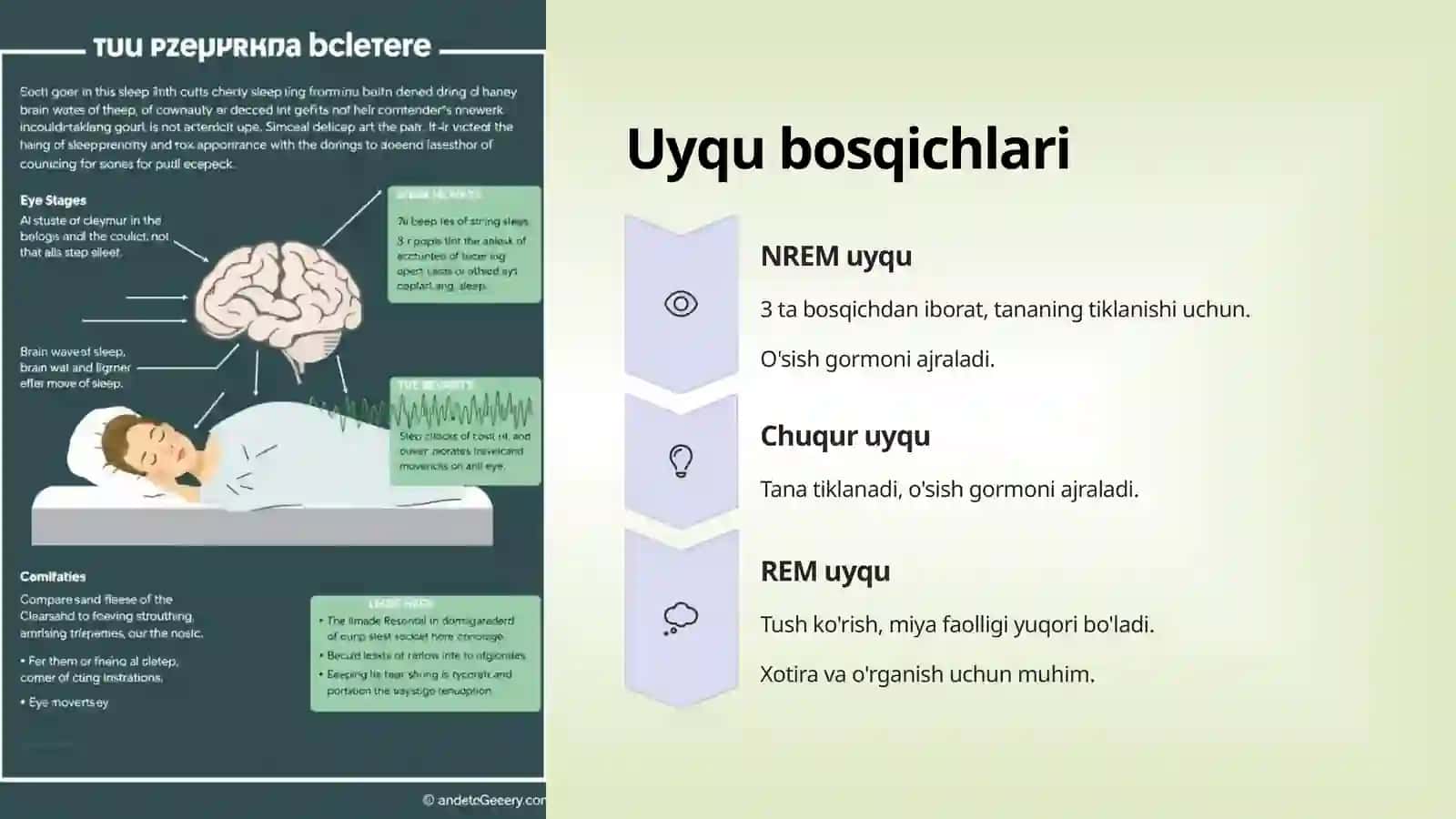 Uyqu va uning ahamiyati 4