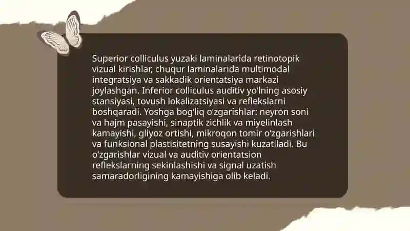 Oʻrta miya tuzilishi va yoshga qarab oʻzgarishi 4