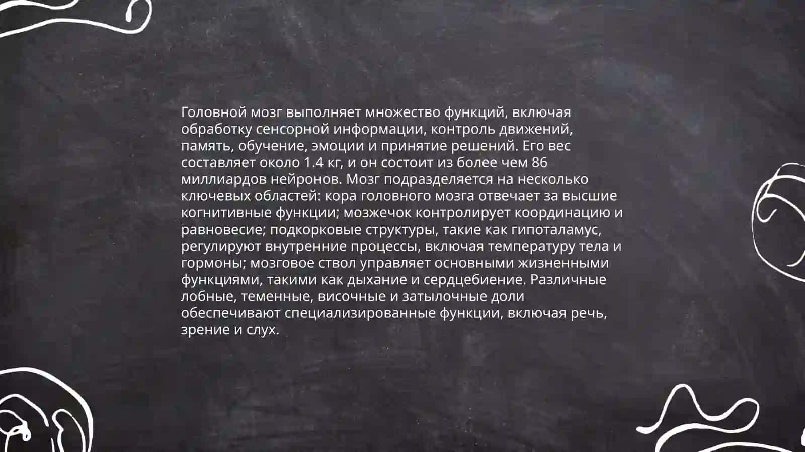Головной мозг. Стили речи 4