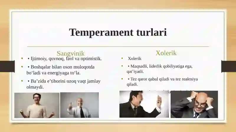 Temperamenttiplari 4