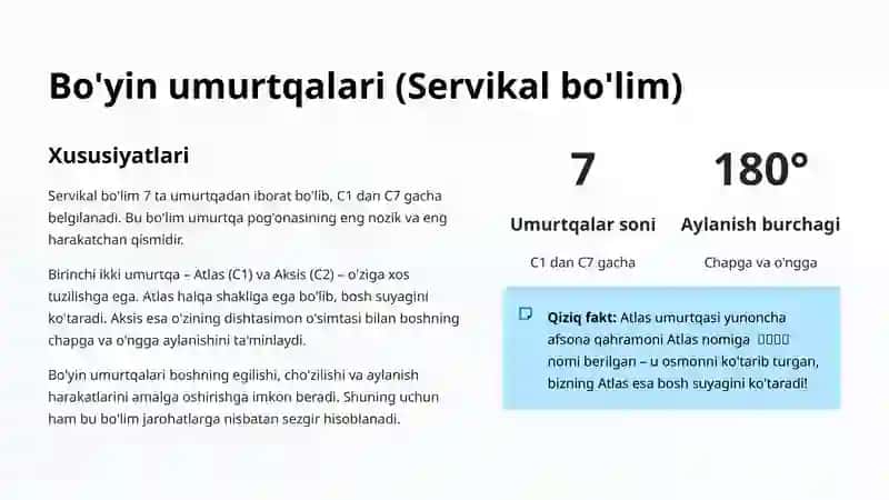 Umurtqa pog'onasi 4