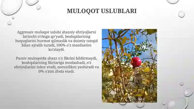 Muloqotning ahamiyati 4