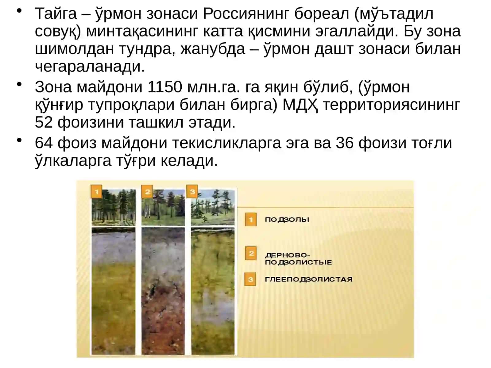 МДХ тупроқлари. Тайга-ўрмон зонаси ва ўрмон-дашт зонасининг қора тупроқлари 4