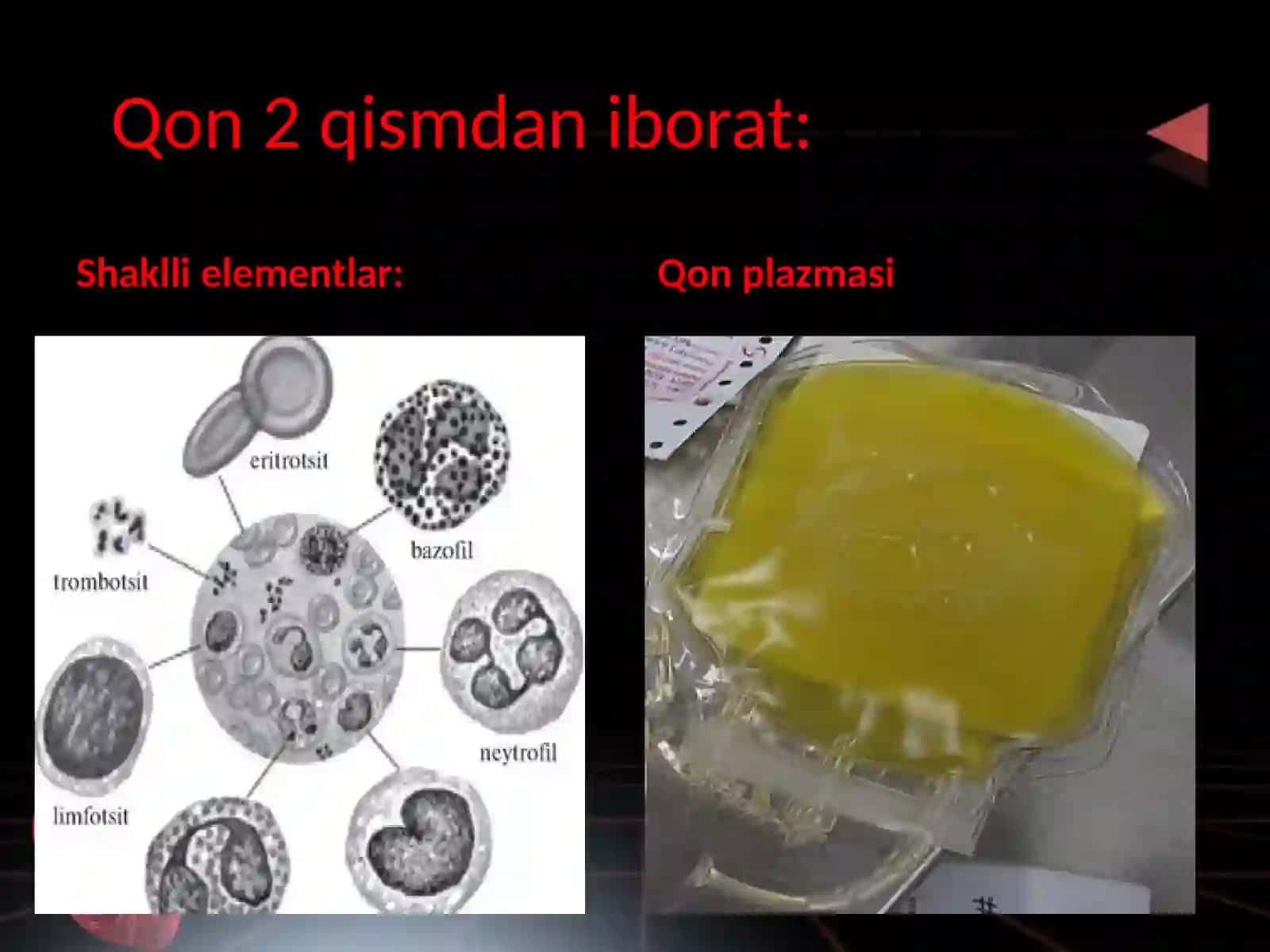 Corazón 4