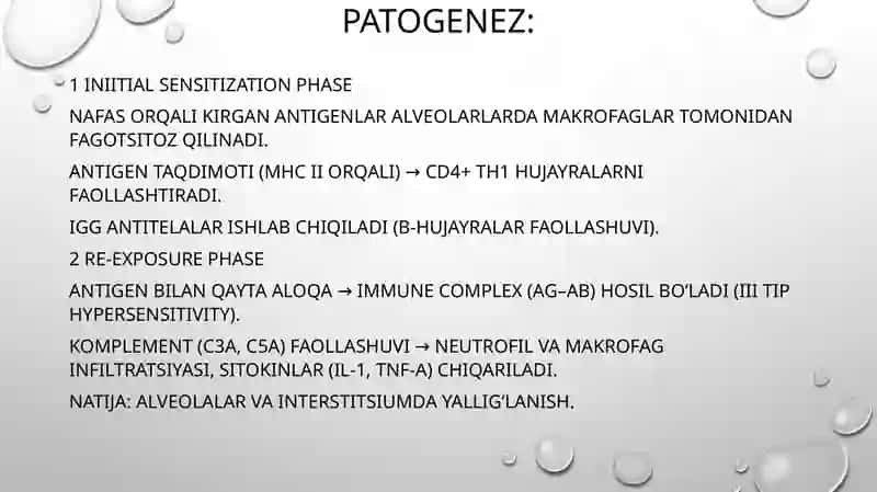 Allergik alveolit 4