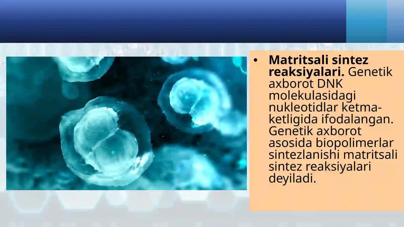Hujayra tarkibi 4