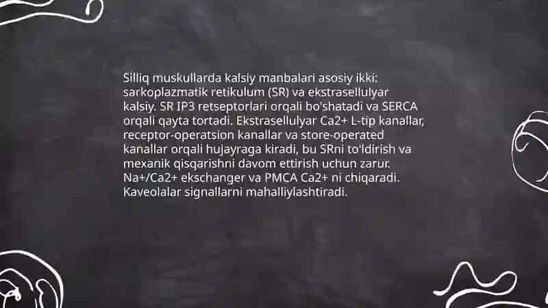 Silliq muskulni qisqarish mexanizmi 4