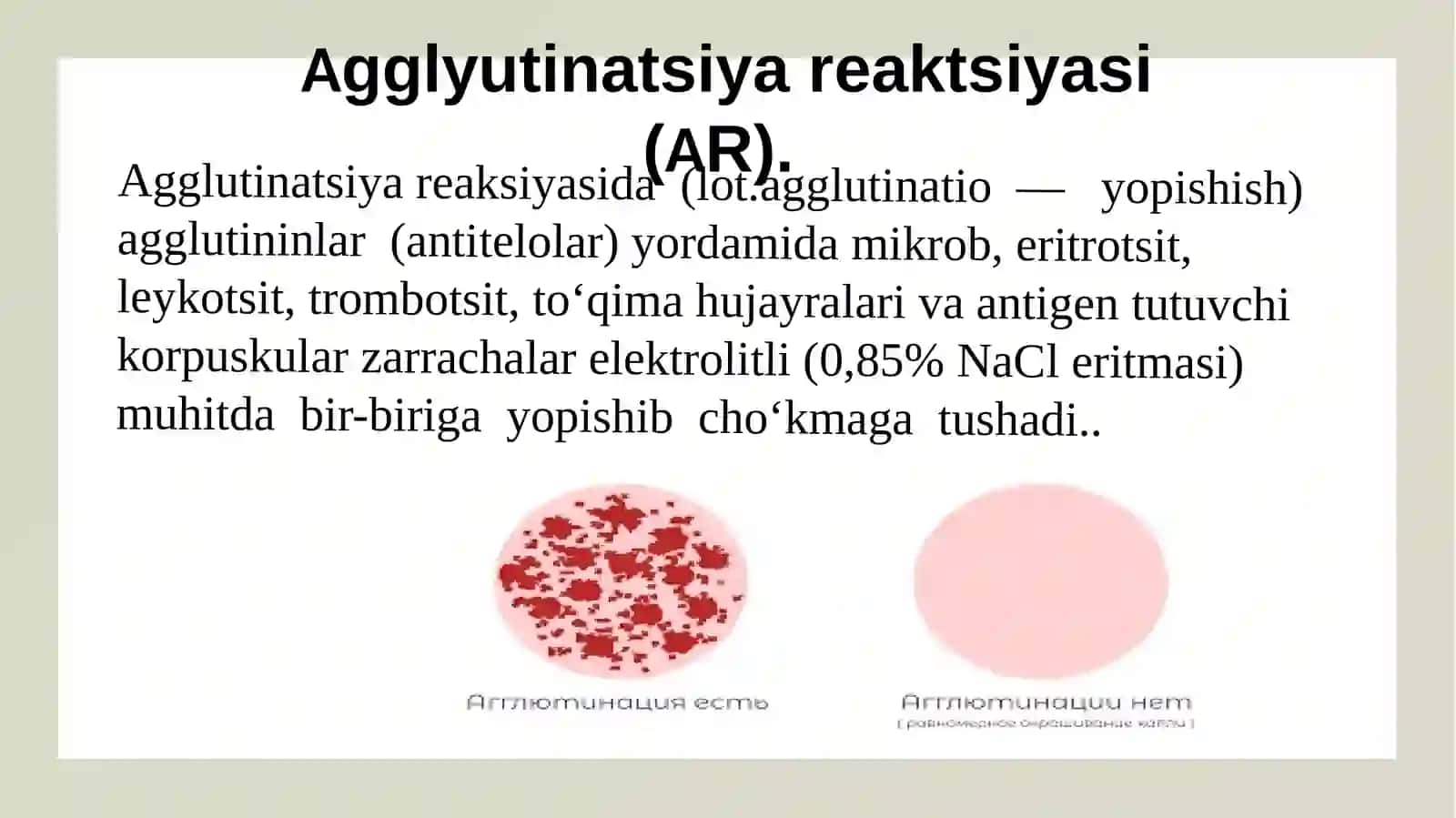 Steriologik reaksiyalar: Agglyutinatsiya reaksiyasi. KBR, gemagglutinatsiya reaksiyasi, presiptatsiya reaksiyasi, immunofluoristensiya reaksiyasi, bakterioliz reaksiyalari 4