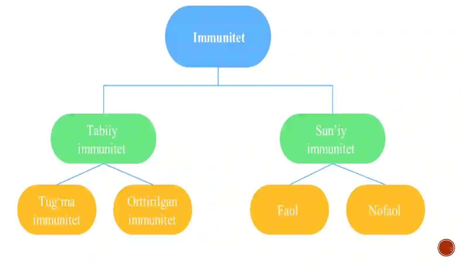Immunitet oshirishda toʻgʻri ovqatlanishning roli 4