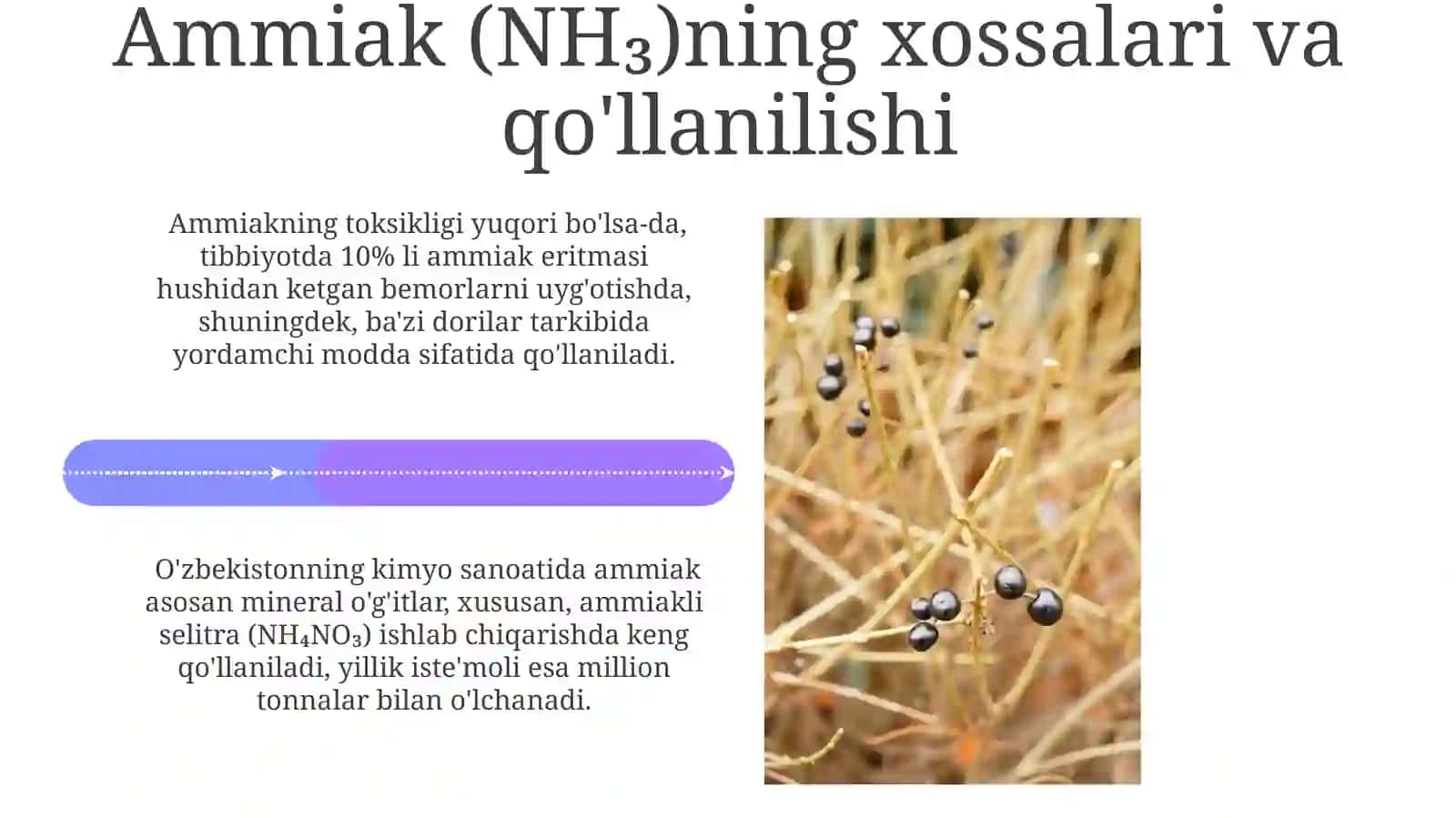 Azotning vodorodli birikmalari 4
