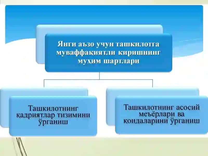 ИНСОНВА ТАШКИЛОТ 4