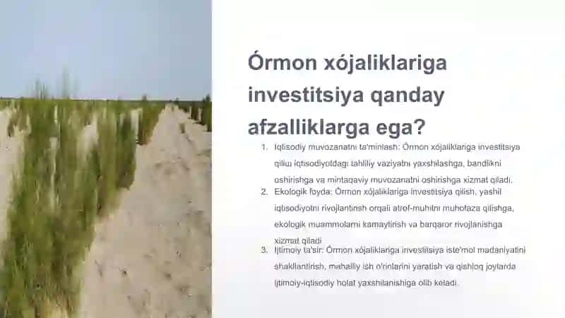 Órmon xójaliklariga investitsiya 4