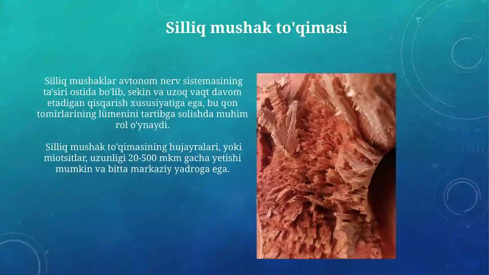 Suyak hujayralari 4