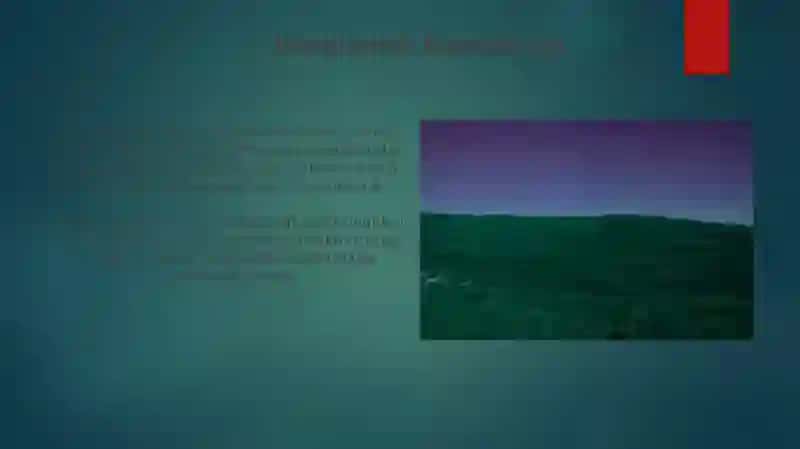 Hududiy Hamkorlik va Integratsiya 4