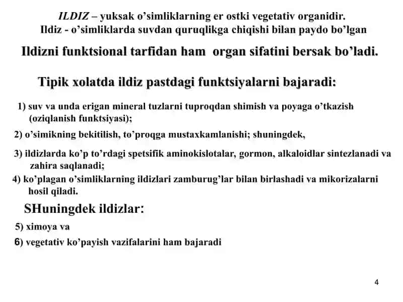 TURLI O‘SIMLIKLARNING ILDIZ TIZIMINI TAQOSLAB MAKETINI TAYYORLASH 4