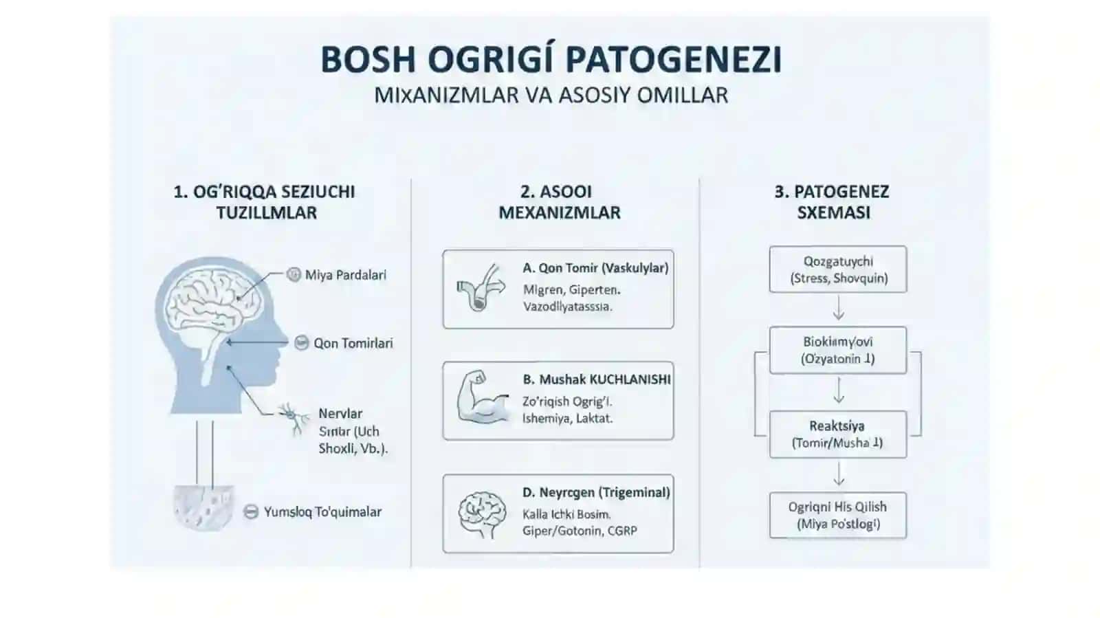 BOSH OG’RIQLARI SINDROMLARI 4