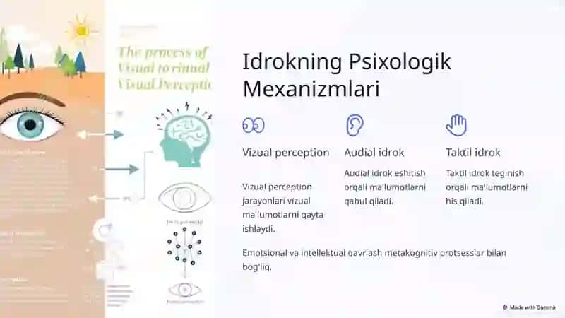 Idrokning Kognitiv Nazariyasi: Asosiy Tushunchalar 4