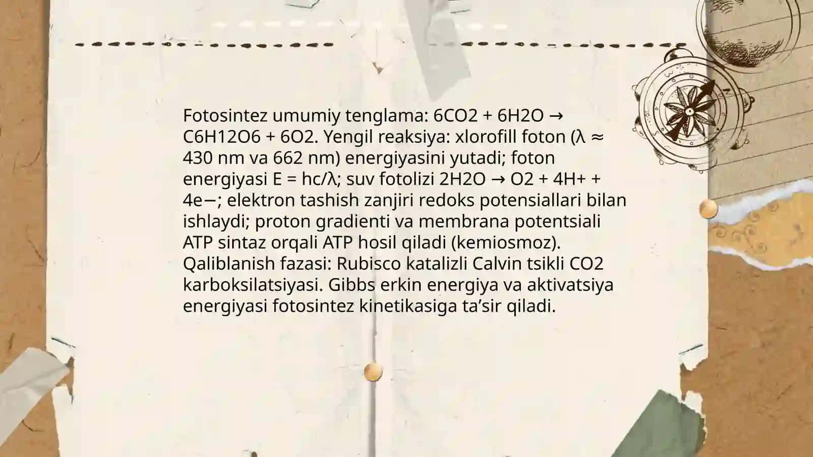 Biologiya fanida fanlar aro bogʻliqlik (kimyo fizika geografiya bilan integratsiya) 4