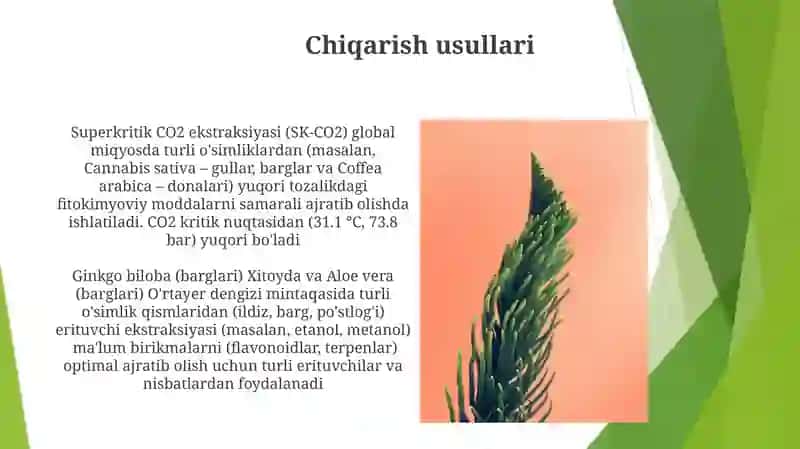 dorivor oʻsimliklar tayorlash va tahlil qilish 4