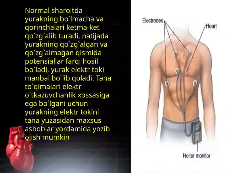 Yurak faoliyatini tekshirish usullari. Elektrokardiografiya. 4