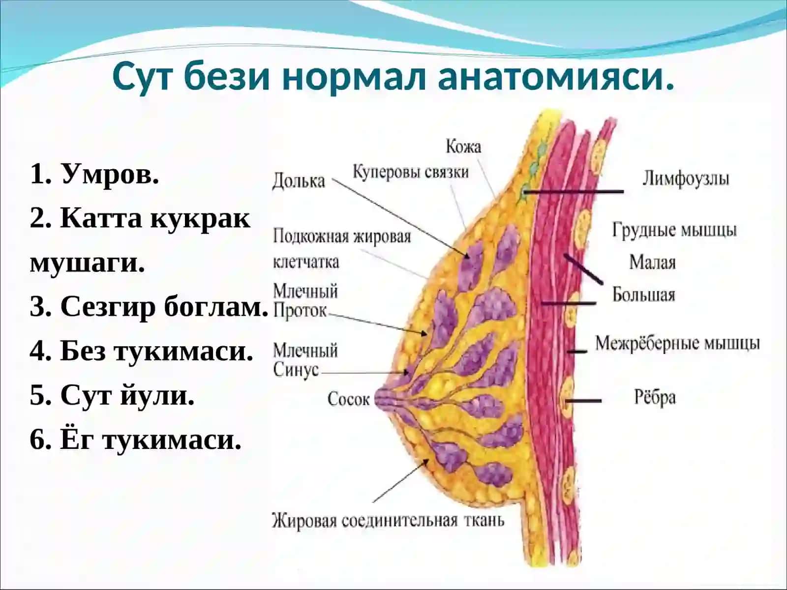 Сут бези саратони эпидемиологияси 4