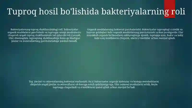 Organizmlar Va Tuproq Hosil BoʻLishi Hamda Geografiyasi 4