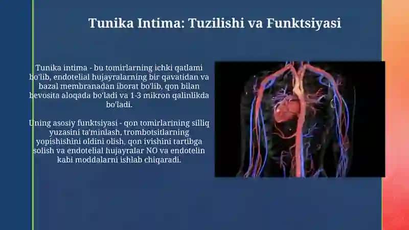 Funksional diagnostika 4