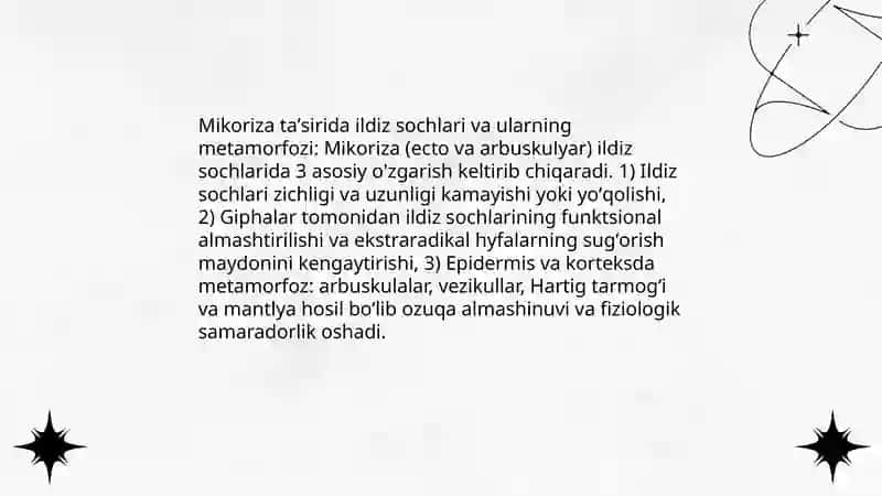 Mikoriza va ildiz metomorfozi 4