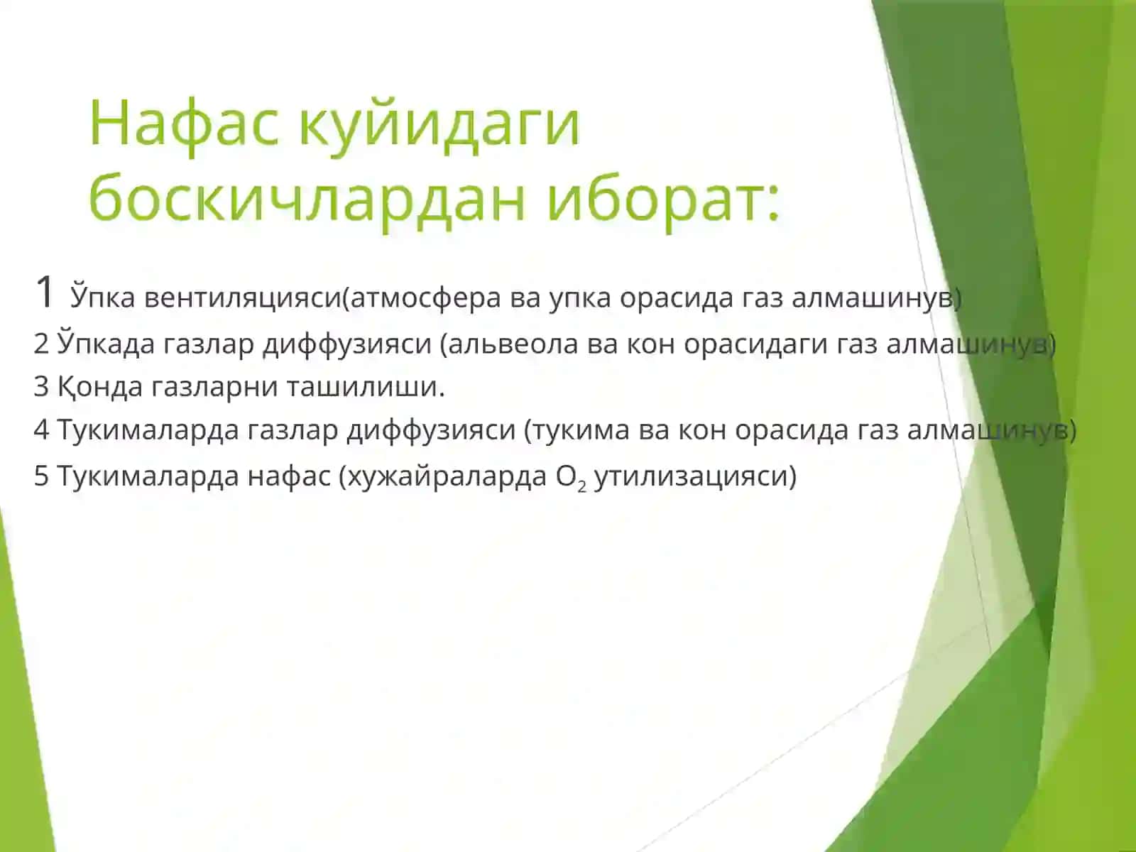 Нафас физиологияси. Ўпкада газлар алмашинуви. Қонда газлар ташилиши. Нафасни бошқарилиши 4