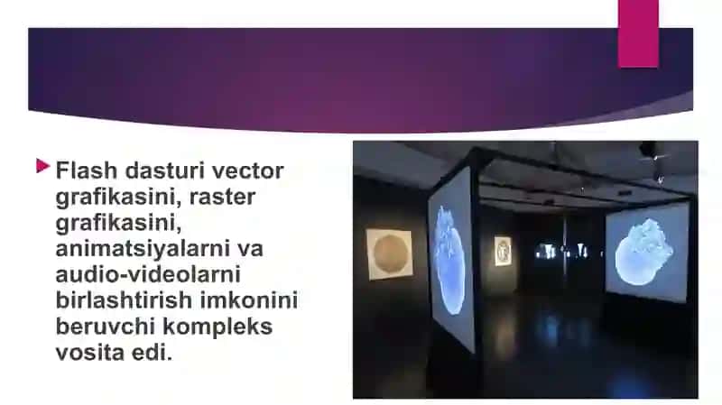MikromediaFlash dasturi 4